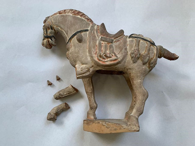 Tang Dynasty horse restoration